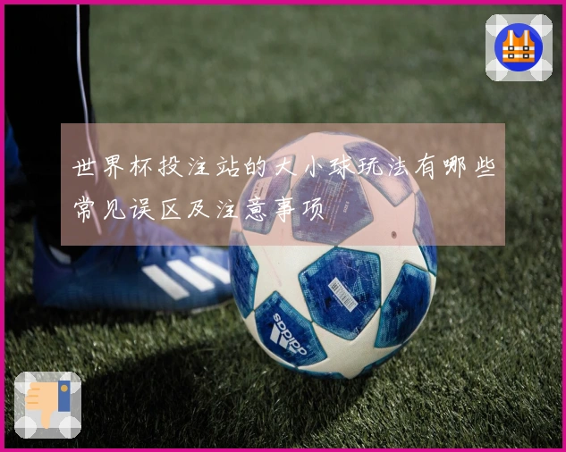 世界杯投注站的大小球玩法有哪些常见误区及注意事项