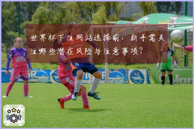 世界杯下注网站选择前，新手需关注哪些潜在风险与注意事项？