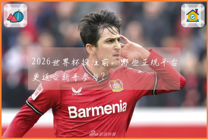 2026世界杯投注前，哪些正规平台更适合新手参与？