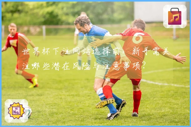 世界杯下注网站选择前，新手需关注哪些潜在风险与注意事项？